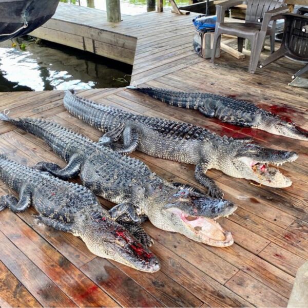 PRODUITS BOUTIQUE WESTERNDREAM (960 x 960 px)(8)