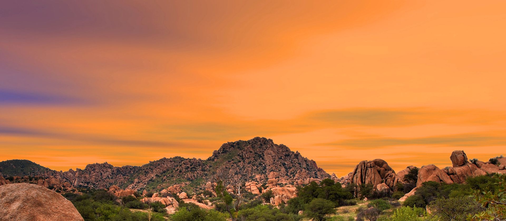 Paysage texan